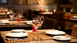 Avinash Club Paraiso