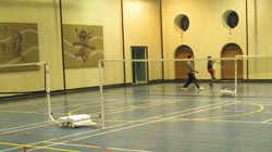 Avinash Club Paraiso