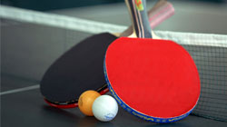 Avinash Club Paraiso